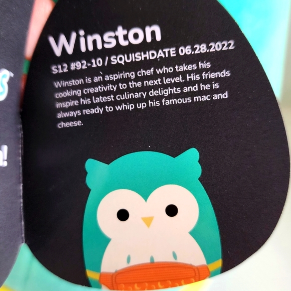 🖤 WINSTON 🦉 HTF Black Tag Teal Owl w Fanny Pack Select Series Squishmallow NWT - Picture 5 of 9